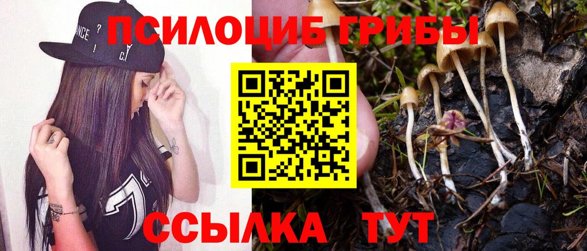 Псилоцибиновые грибы прущие грибы  Вход с VPN  Щёкино  Галлюциногенные грибы мухоморы 